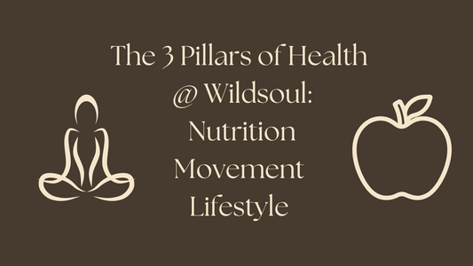 The Three Pillars of Health: Nutrition, Movement & Lifestyle at Wildsoul Wellness
